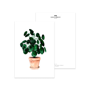 Postkarte - PILEA Postkarte Atelier Leo la Douce 