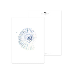 Postkarte - SHELL NO 2 Postkarte Atelier Leo la Douce 